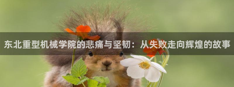 龍八國際娛樂官網(wǎng)多少