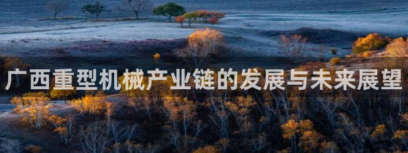 龍八國際娛樂二維碼