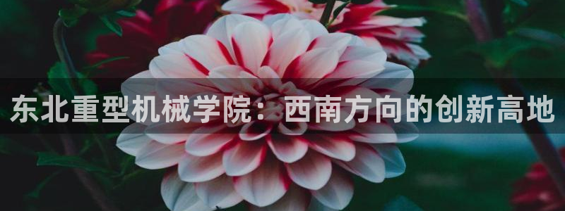 下載龍八國際手機版手游