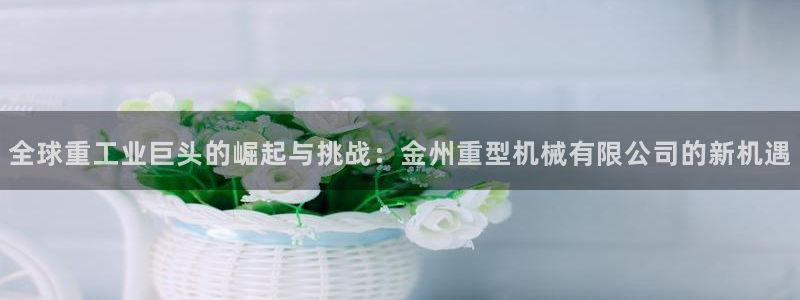 龍八國際最新官網(wǎng)