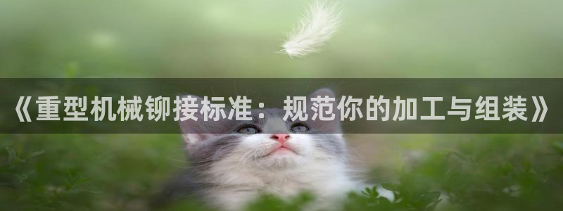 龍八國(guó)際地址