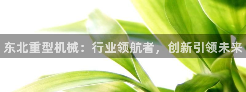 龍八國(guó)際娛樂(lè)官網(wǎng)手機(jī)