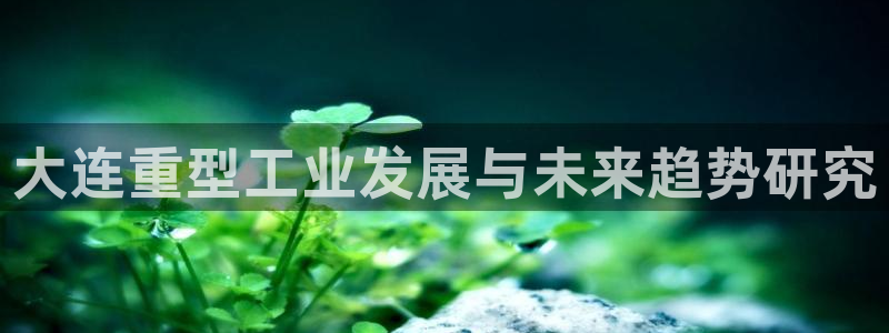 龍八國際技巧