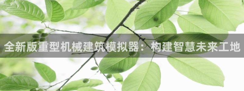 龍八國際下載鏈接一