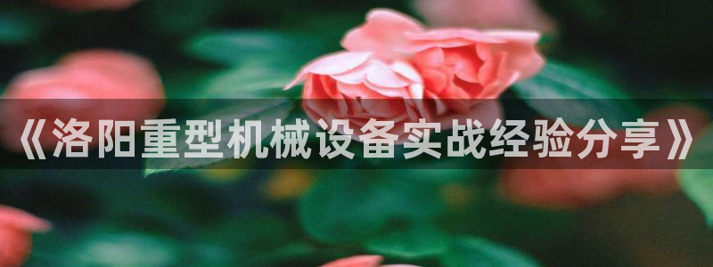 龍八國際long8