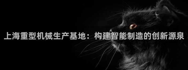 龍八國(guó)際手機(jī)下載安裝