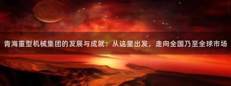 龍八國際貿(mào)易有限公司