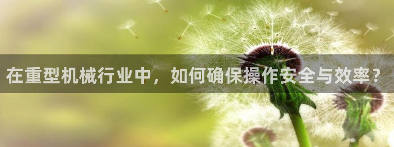 大英龍八國(guó)際