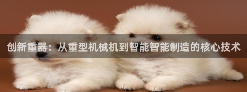 龍八國際客戶端下載安卓