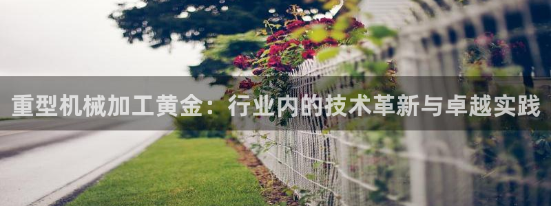 龍八國(guó)際app下載安卓