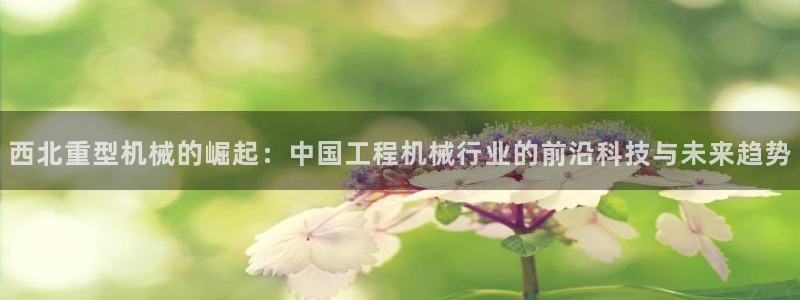 龍八國際88