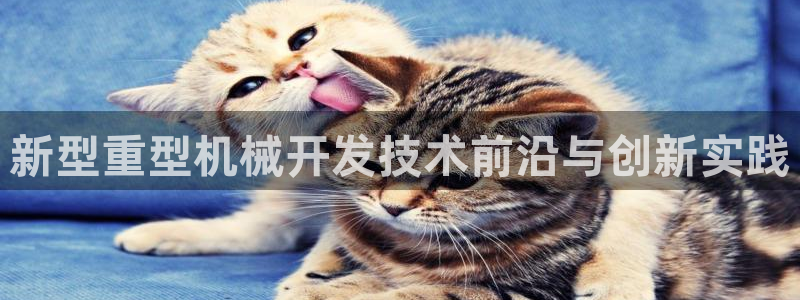 龍八國際集團