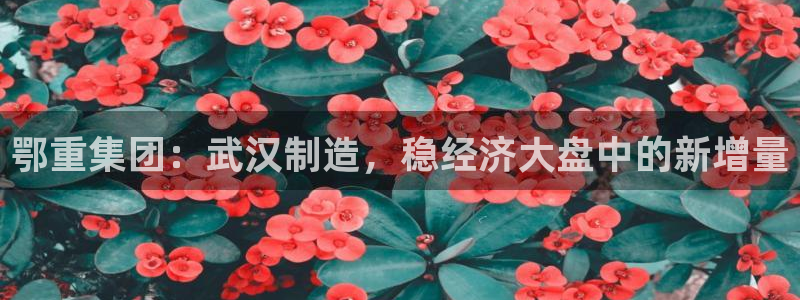 龍八國際平臺可靠嗎