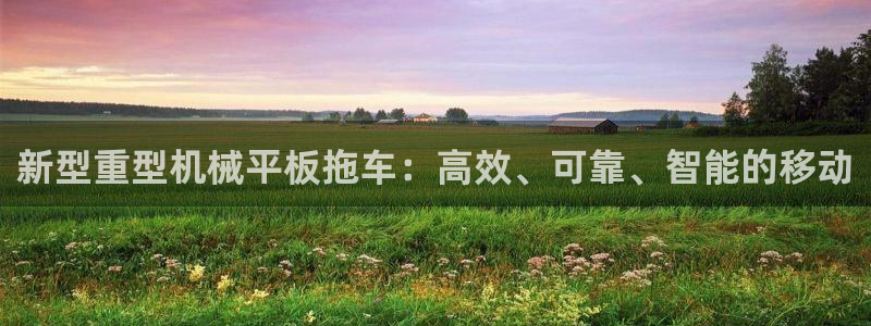 龍八國際手機(jī)app