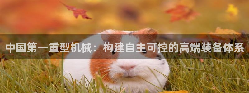 龍八國際mg老虎機