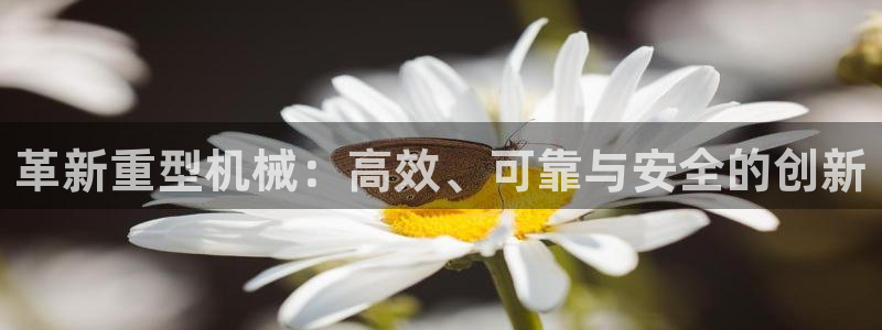 龍八國際客服