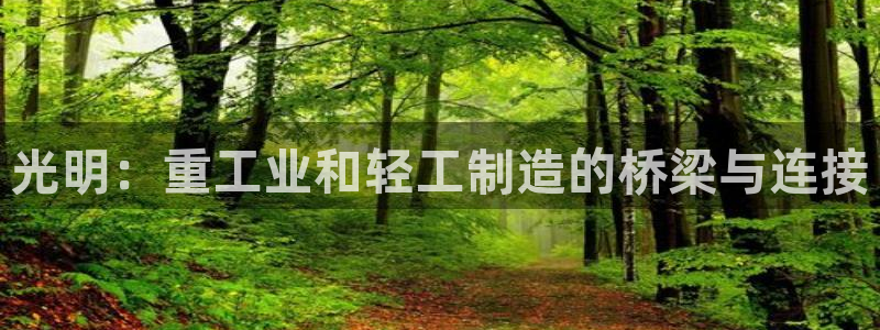 龍八國(guó)際城客運(yùn)站電話