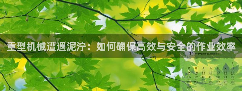 龍八國際 官網(wǎng)