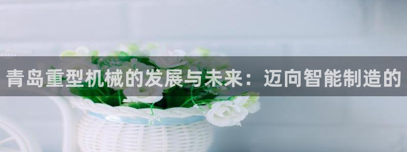 龍八國際在線登錄