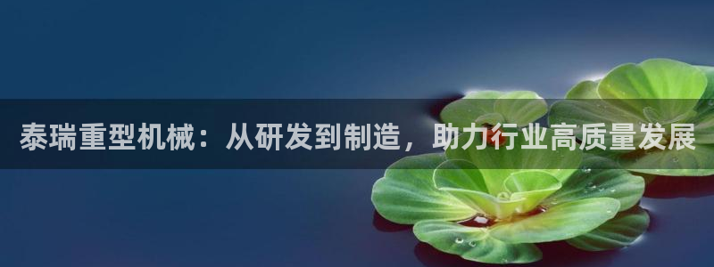 龍八國際手機版官網平臺